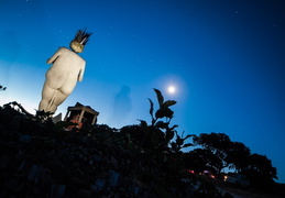 1408118163PH9O